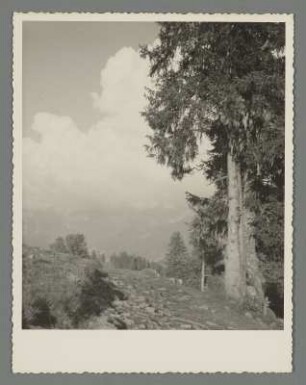 Seiser Alm