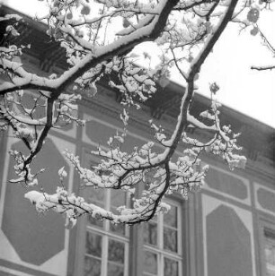 Früher Wintereinbruch.