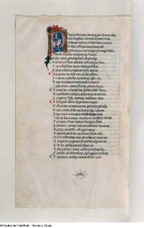 Blatt 135v: Textseite mit Initiale