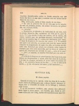 Capítulo XIX. - El tálamo nupcial.
