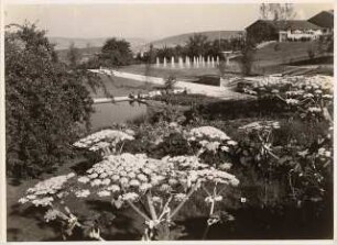Reichsgartenschau 1939 auf dem Killesberg, Stuttgart: Restaurant