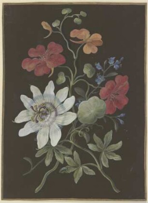 Gesteck aus Passionsblume (Passiflora), roter Kapuzinerkresse (Tropaeplum) und Vergißmeinnicht (Myosotis), mit blauem Käfer
