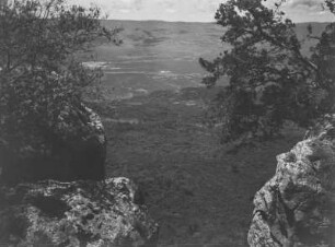 Der Menengai-Krater : Kraterrand des Menengai-Kraters