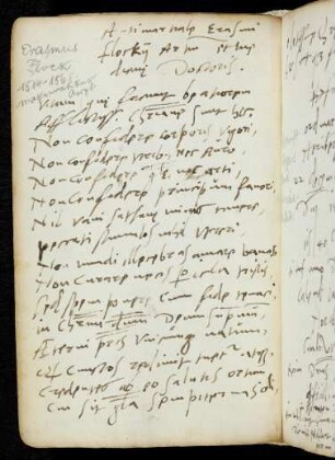 359-361, Flock, Erasmus