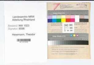 Entnazifizierung Theodor Hesemann , geb. 31.08.1892 (Oberveterinaerarzt)