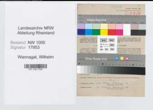 Entnazifizierung Wilhelm Wannagat, geb. 06.06.1897 (Schlosser)