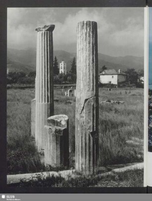 Thasos. Säulen auf der Agora
