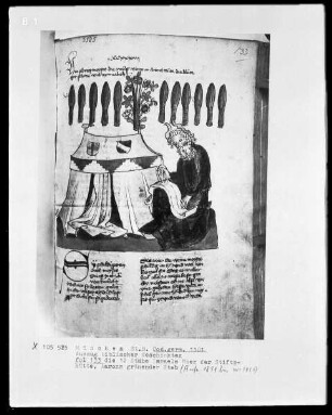 Auszug biblischer Geschichten — Die 12 Stäbe Israels über der Stiftshütte und Aarons grünender Stab, Folio 133recto