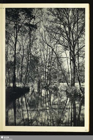 Auenlandschaft an der Pleiße