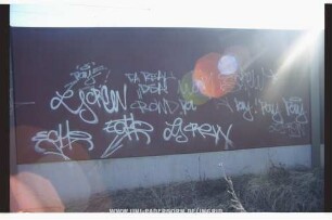 ECHO LS CReW