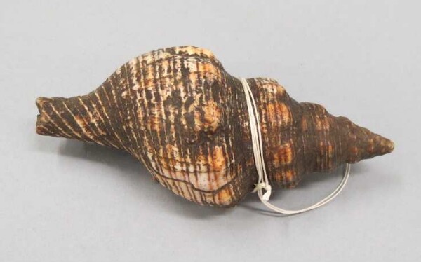 Snail horn (tool)