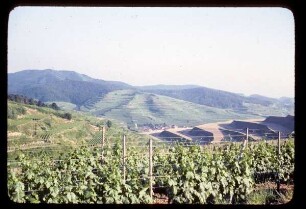 Flurbereinigung im Kaiserstuhl