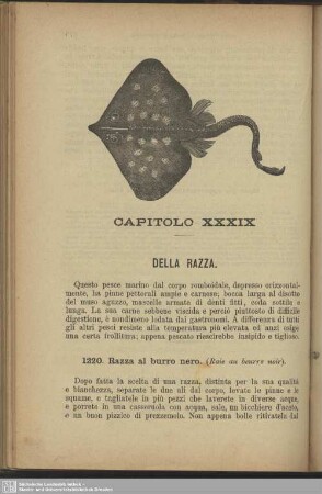 Capitolo XXXIX. Della razza