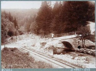 Vom Hochwasser am 30./31. Juli 1897 beschädigte Brücke an der Spechtritzmühle im Rabenauer Grund mit beschädigter Eisenbahnschiene