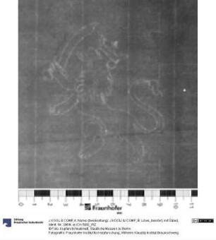 A: Name (zweikonturig): J KOOL/ &/ COMP; B: Löwe, bekrönt, mit Säbel