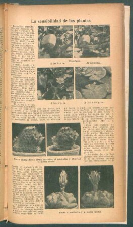 La sensibilidad de las plantas