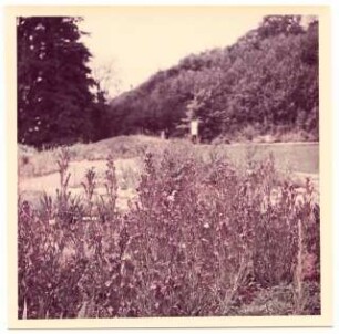 Bundesgartenschau 1955, Kassel: Pflanzen