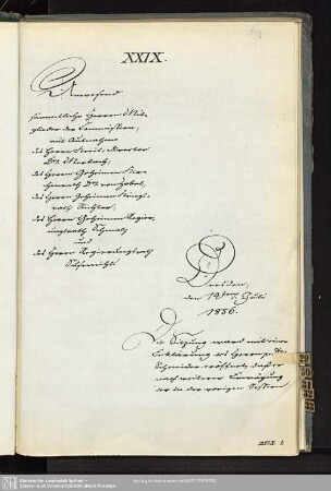 XXIX., 11. Juli 1856