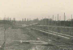 Rheindüker, 1960