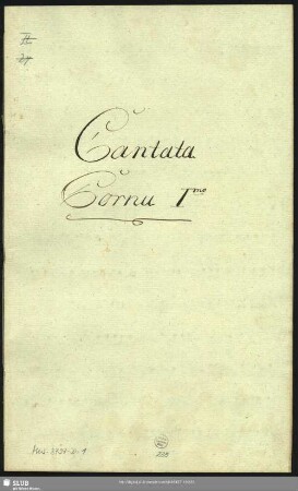Cornu I.mo