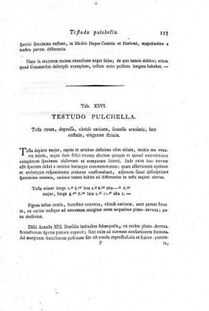 Tab. XXVI. Testudo Pulchella.