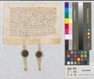 Revers des Reinard de Westerburg, Domkanoniker zu Köln und seines Vetters Reinard, Ritters von Westerburg, daß die Verpfändung ihrer Burg Schaumburg an den Grafen Joh. von Nassau der Lehenschaft des Erzbischofs nicht präjudizieren soll. d. fer. II ante ascens. Domini.