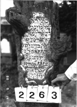 Grabstein 2263 (Index: 100097362) Maße HxBxT: 147x31x31 cm Symbolik: Baumstamm: Grabstein 2263 (Detailaufnahme 1)