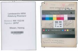 Entnazifizierung Hedwig Miesen , geb. 28.06.1906 (Kauffrau)