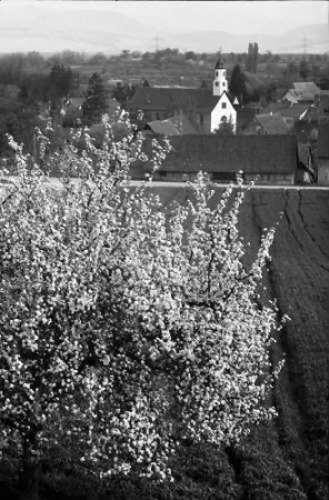 Freiburg, Waltershofen: Von der Höhe auf Waltershofen mit Blütenbaum