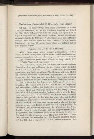 Coptolabrus Jankowskii R. Oberthür Amur