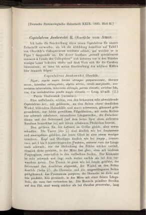 Coptolabrus Jankowskii R. Oberthür Amur