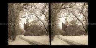 Blick vom Park zum Eutiner Schloss im Winter