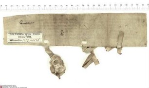 Euphemia von Brauneck (Ofmy von Brunek), Witwe des Andreas von Brauneck, und dessen Brüder Gottfried und Gottfried von Brauneck bekunden, dass sie...