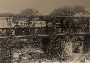 Gibraltar, Alameda-Gärten. Touristengruppe der Hapag auf einer Holzbrücke in den Gärten beim Betrachten der exotischen Pflanzenwelt