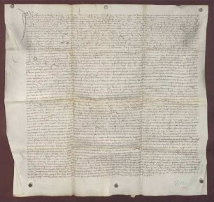 Kundschaften über den Lindenhart und andere Waldungen in der Gemarkung von Malsch und die daran der Gemeinde Malsch und anderen Gemeinden zustehenden Rechte