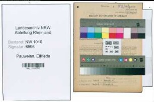 Entnazifizierung Elfriede Pauwelen , geb. 02.09.1899 (Lehrerin)