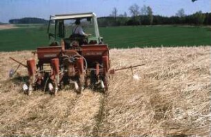 Fotografie: Säverfahren, Einzelkornsaat, Mais, Mulchsaat, Zwischenfrucht, Direktsaat