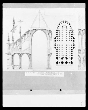 Grundriss und Querschnitt der Kathedrale Sainte-Croix zu Orléans
