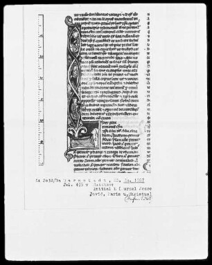 Biblia sacra mit Missale — Initiale L (iber generationis) mit Wurzel Jesse, Folio 495verso