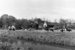 Lohsa-Hermsdorf/Spree. Mühle, Ansicht