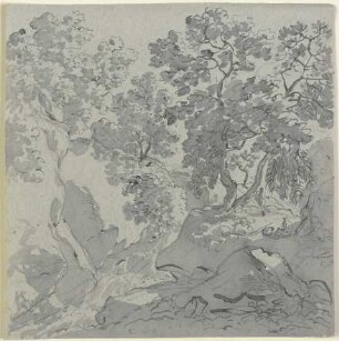Baumbestandene Felslandschaft