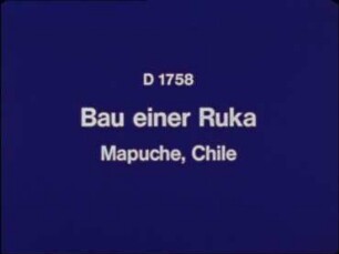 Bau einer Ruka. Mapuche, Chile