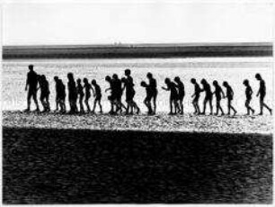 Umrisse vieler Kinder, die an einem Strand hintereinnander laufen (Altersgruppe 18-21)