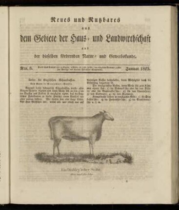 Nro. 8. Januar 1825.