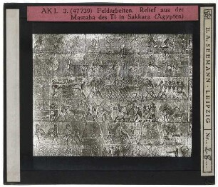 Sakkara, Mastaba des Ti : Relief