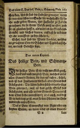 Das vierte Capitel. Das heilige Bein, und Schwanz-Bein.