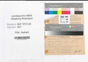 Entnazifizierung Herbert Piltz , geb. 30.11.1905 (Ingenieur)