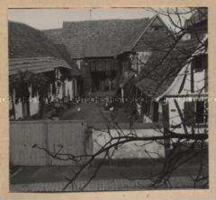 Rheinzabern, Hof mit Tabak und Mais