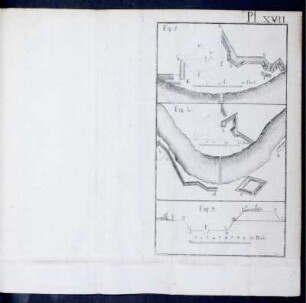 Pl. XVII.