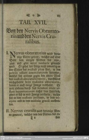 Tab. XVII. Von den Nervis Obturatoriis und den Nervis Cruralibus